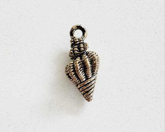 Black Beach Shell Charm