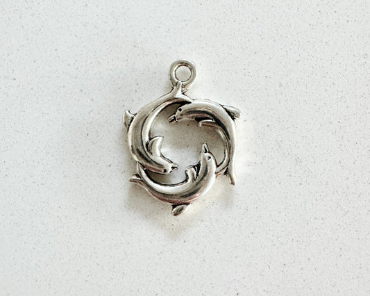Dolphins Charm