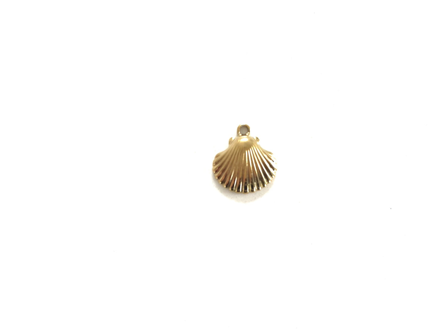 Shell Charm