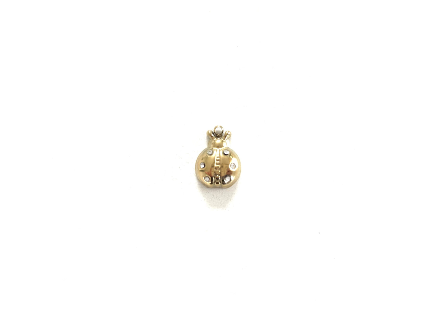 Ladybug Charm