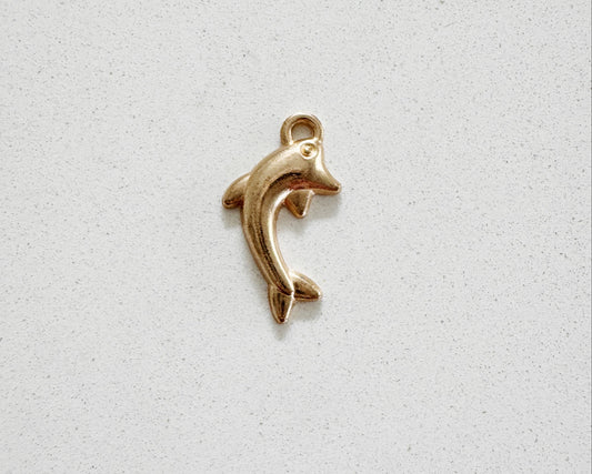 Dolphin Charm