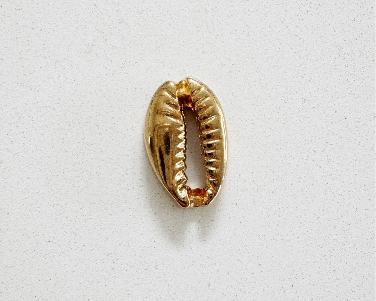 Shell Charm