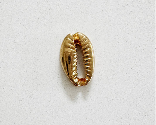 Shell Charm