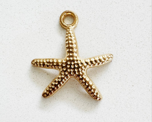 StarFish Charm
