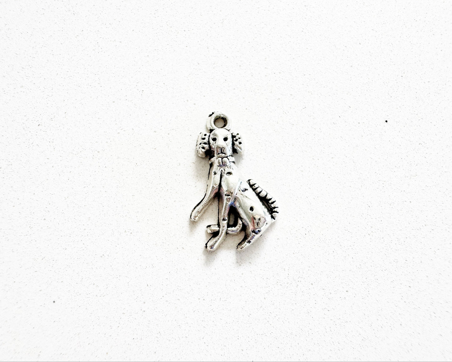 Pet Dog Charm