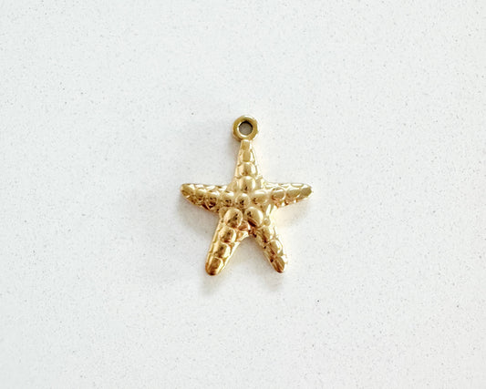 Starfish Charm