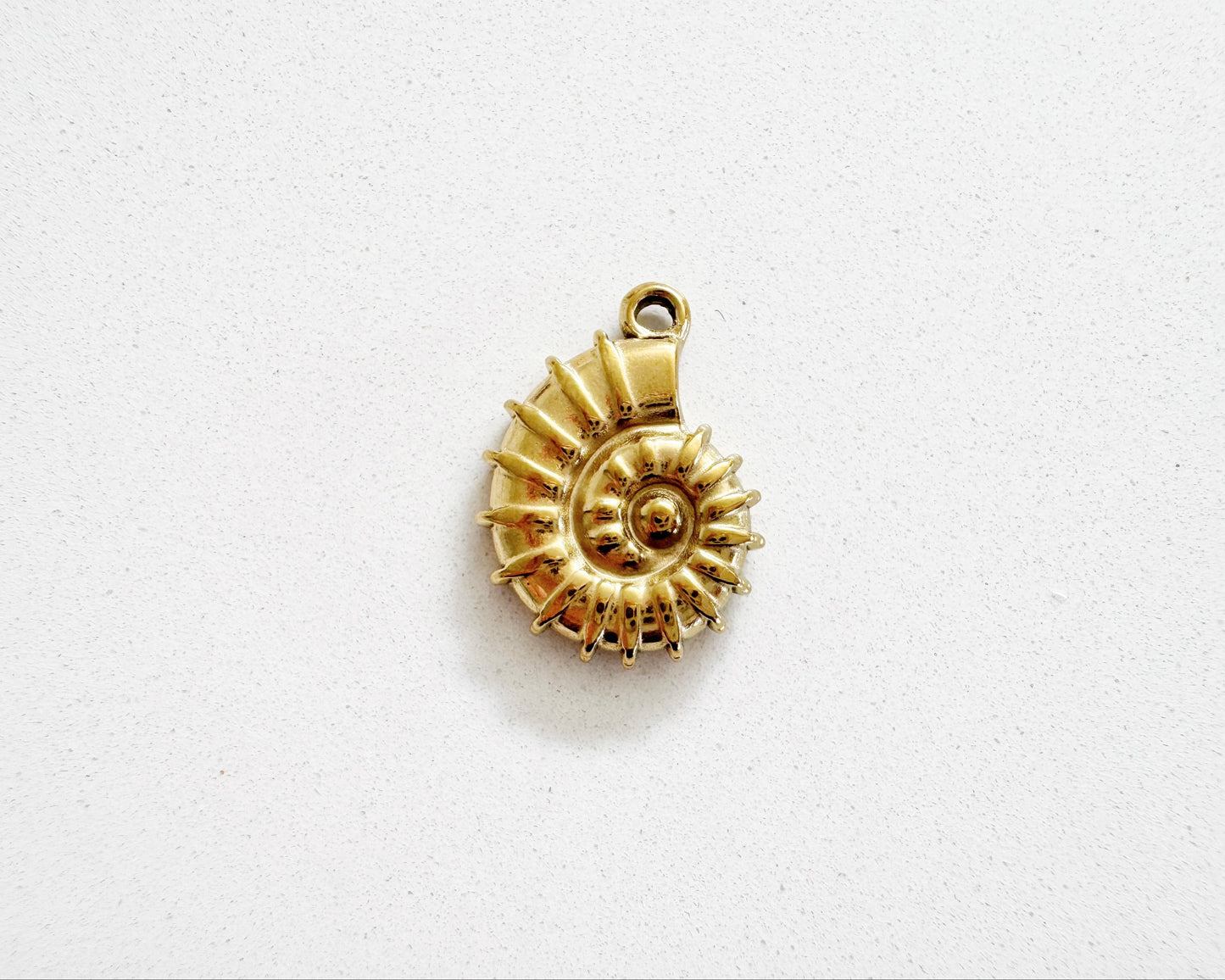Shell Charm