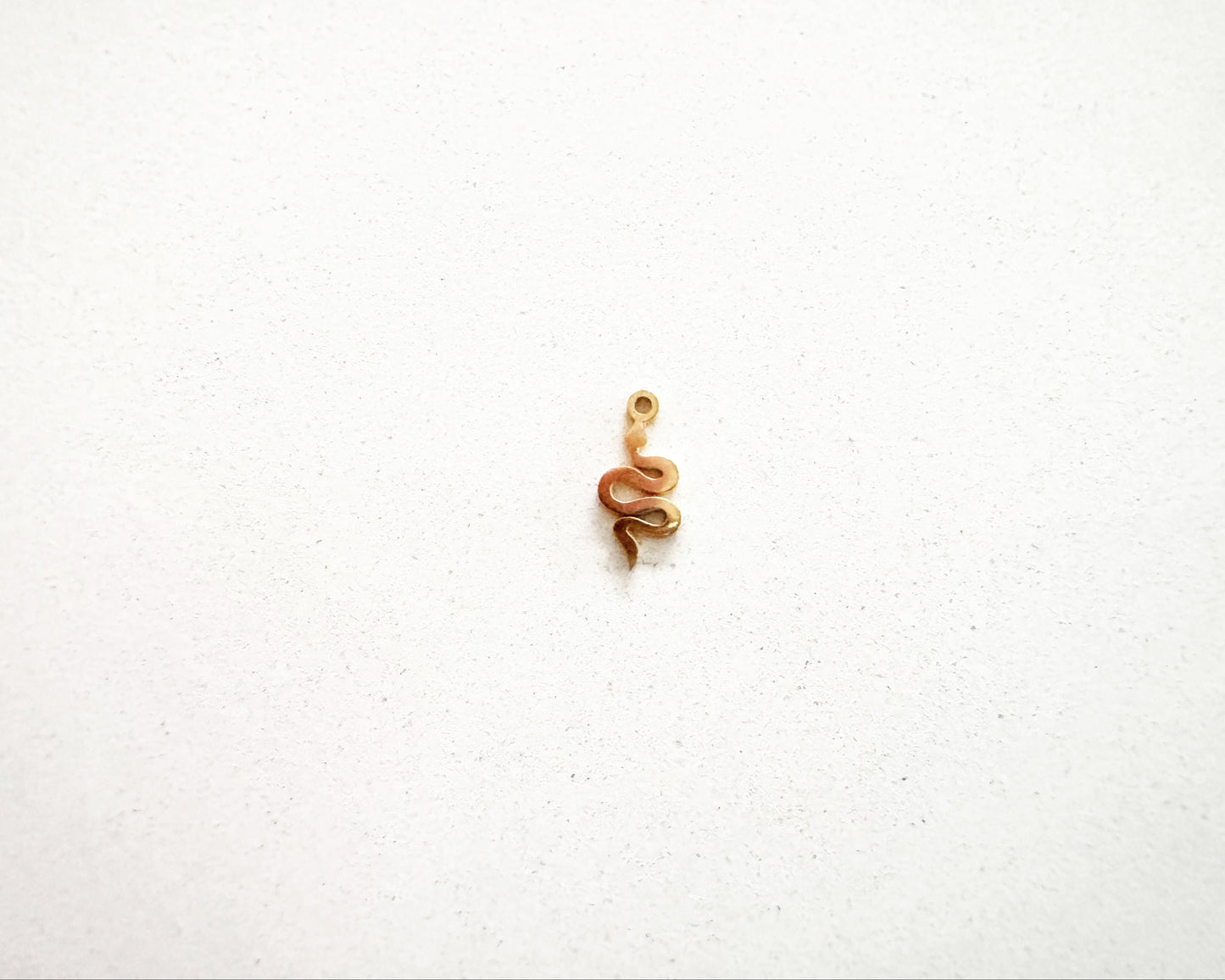 Mini Snake Charm