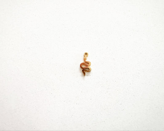 Mini Snake Charm