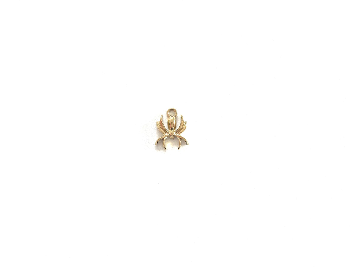 Spider Charm